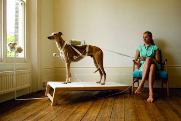 Respiratory-Dog
