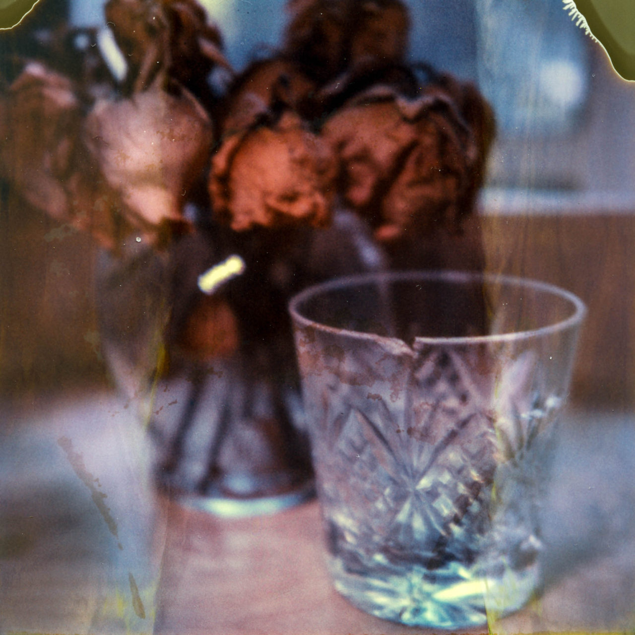 polaroid-glass-flowers006