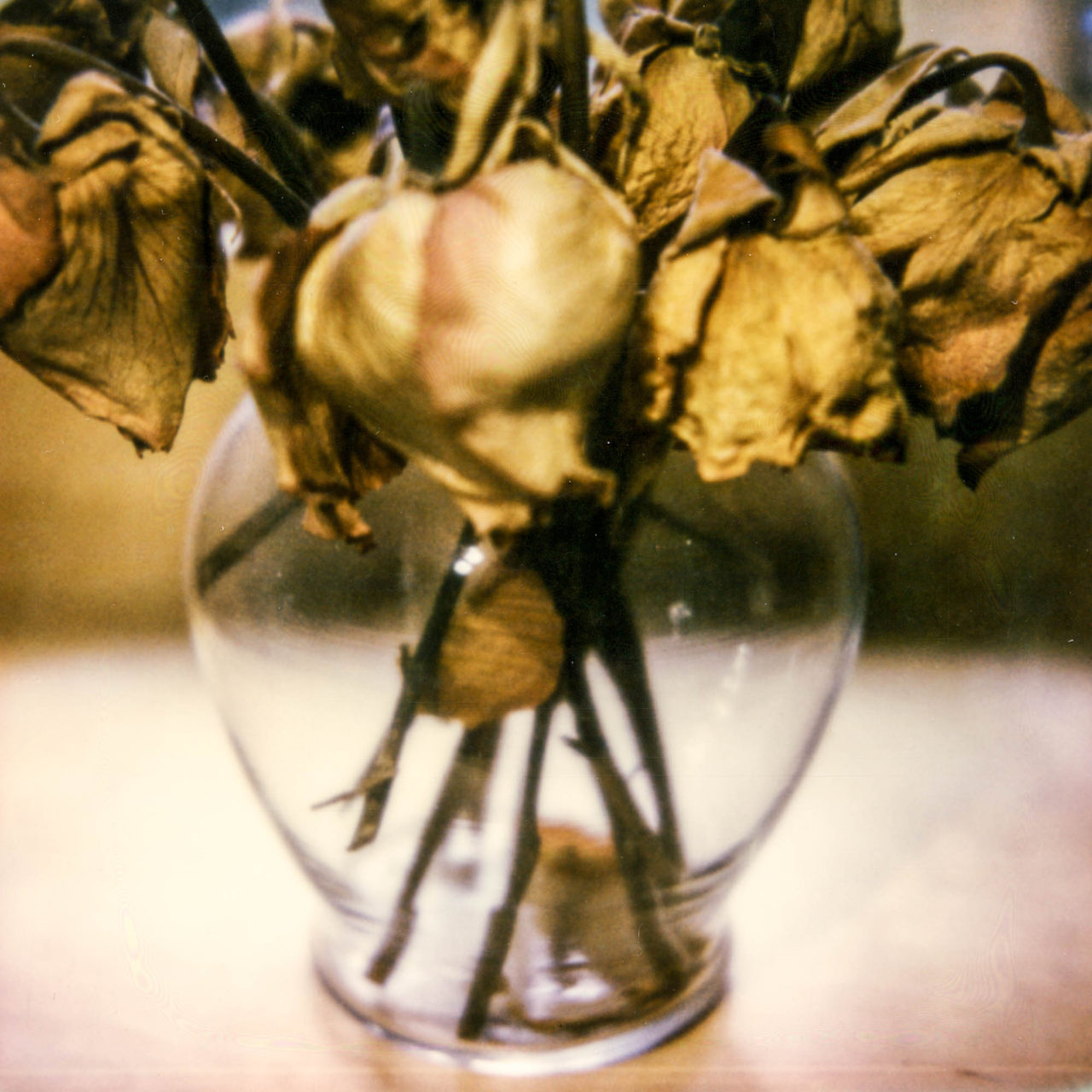 polaroid-glass-flowers007