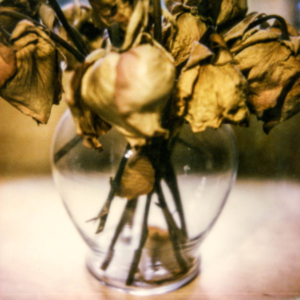polaroid-glass-flowers007