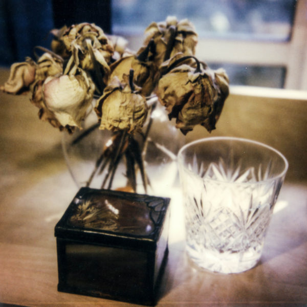 polaroid-glass-flowers008
