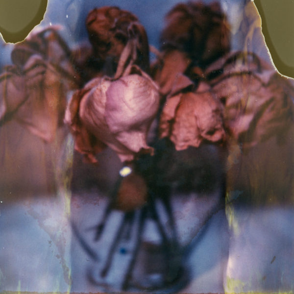 polaroid-glass-flowers009