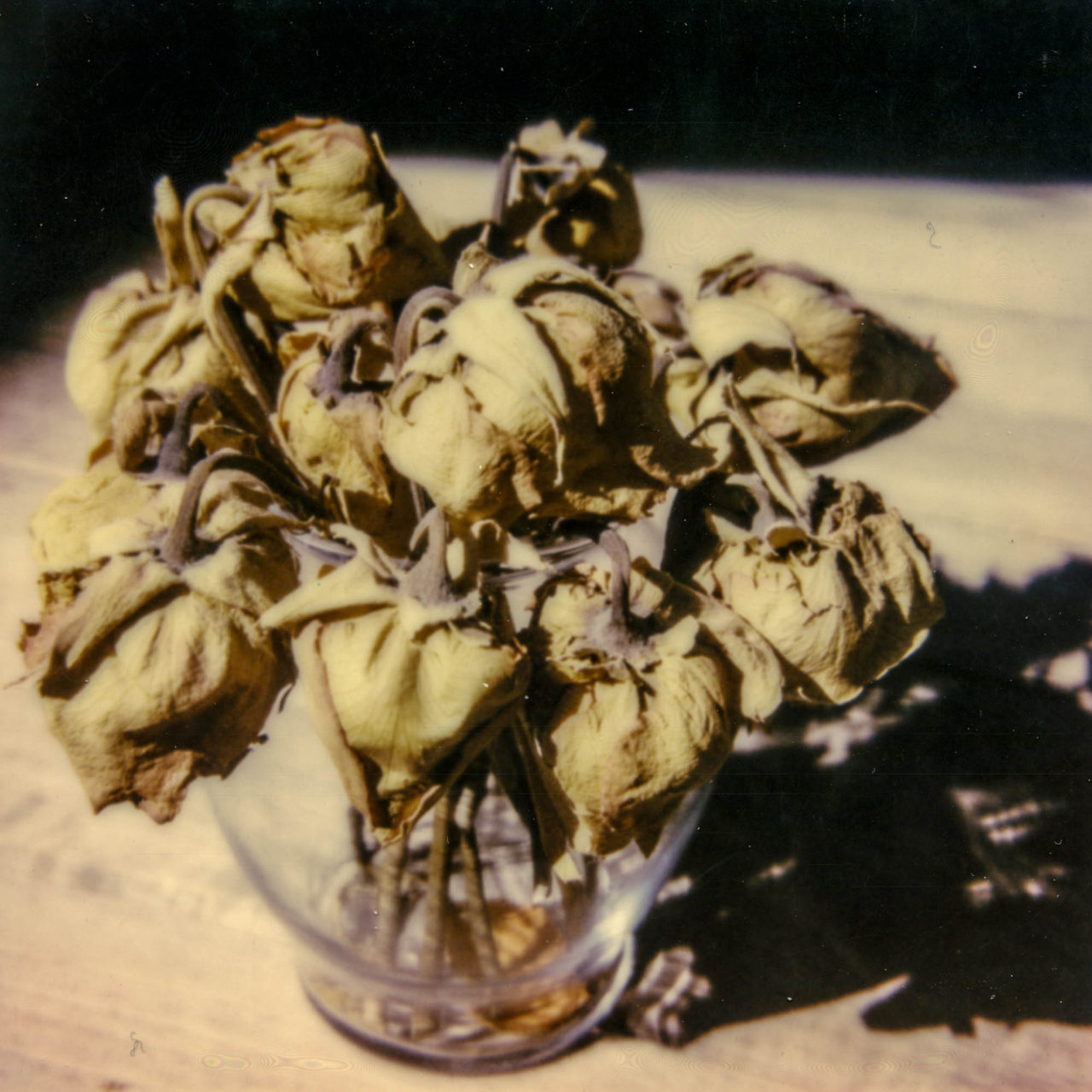 polaroid-glass-flowers010